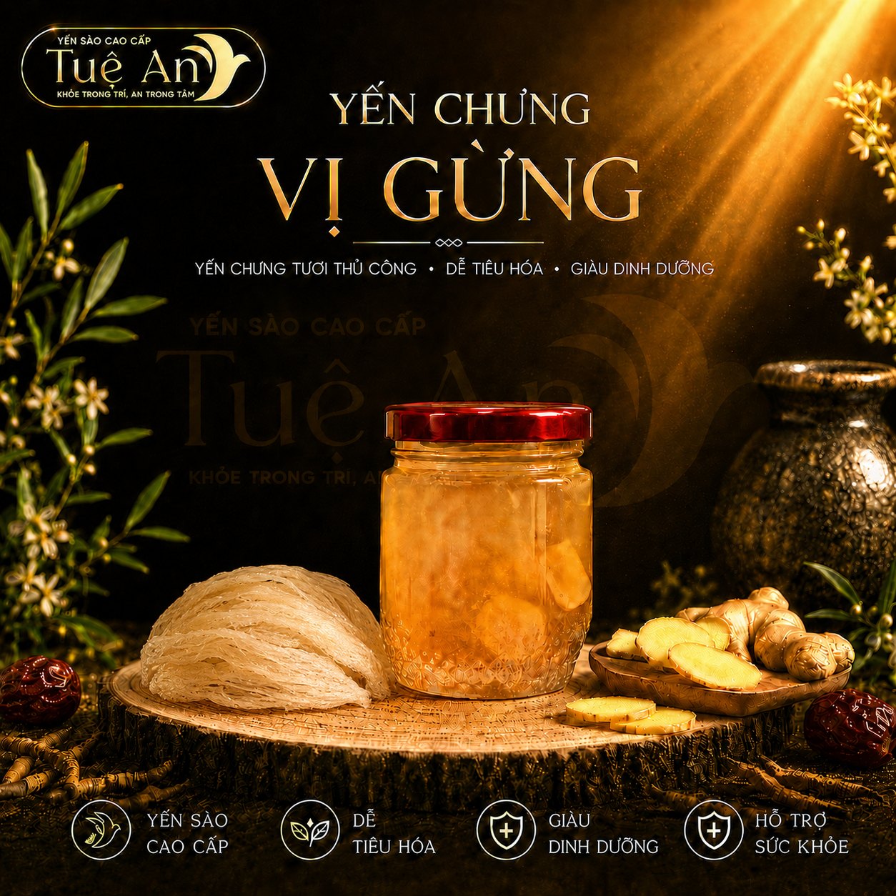 Yến chưng Vị Gừng Tuệ An